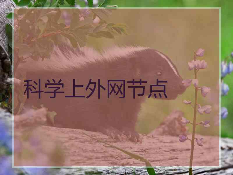 科学上外网节点