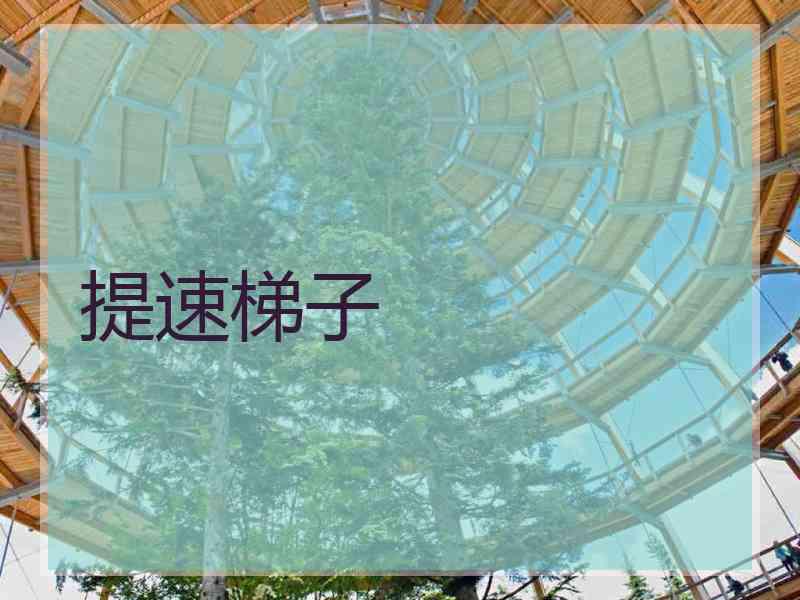 提速梯子