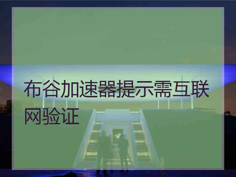 布谷加速器提示需互联网验证