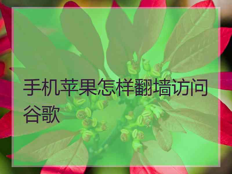 手机苹果怎样翻墙访问谷歌