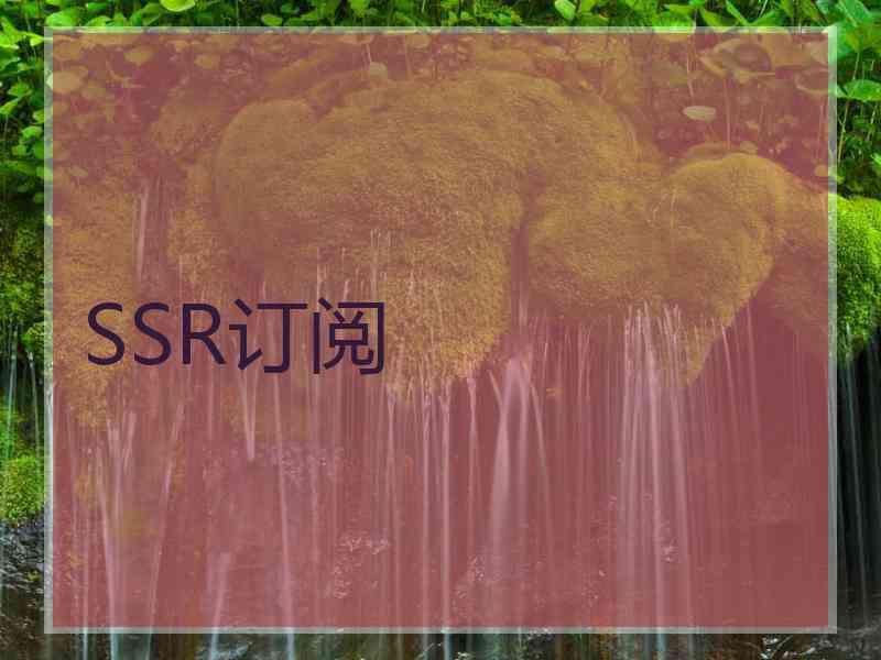 SSR订阅