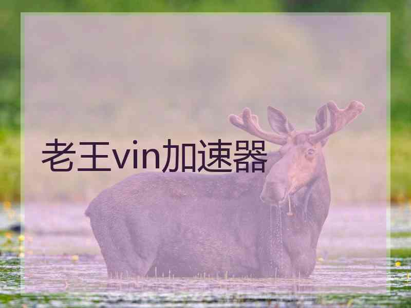 老王vin加速器