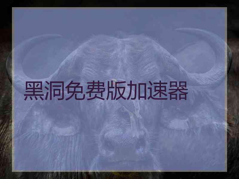 黑洞免费版加速器