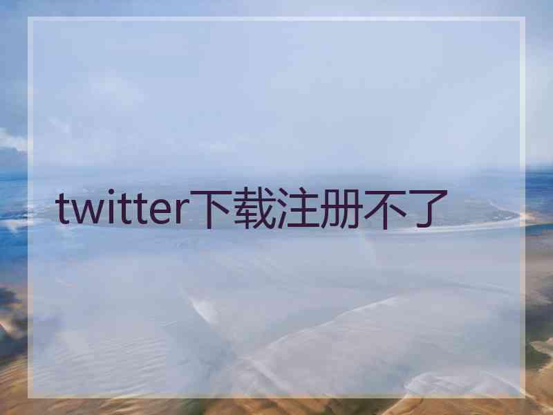 twitter下载注册不了