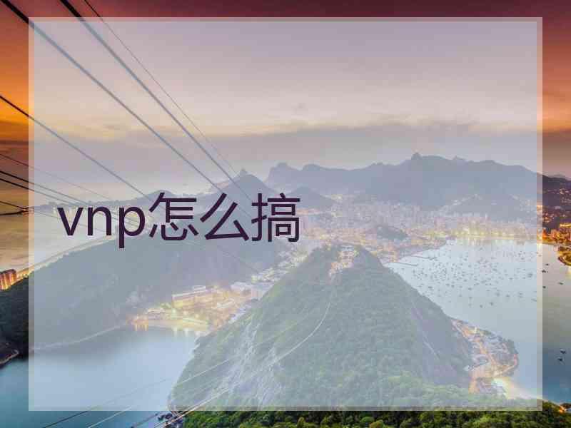 vnp怎么搞