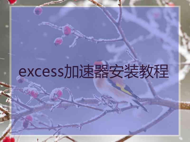 excess加速器安装教程