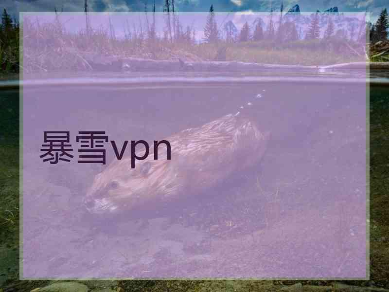 暴雪vpn
