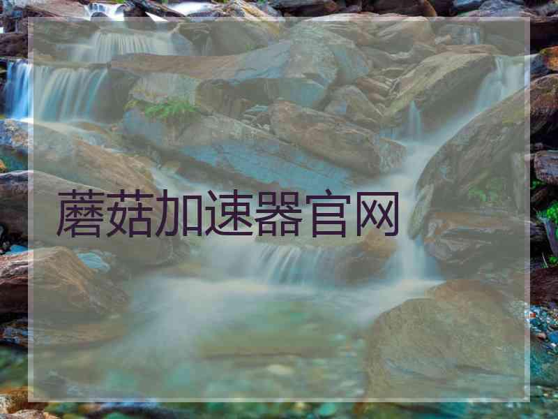 蘑菇加速器官网