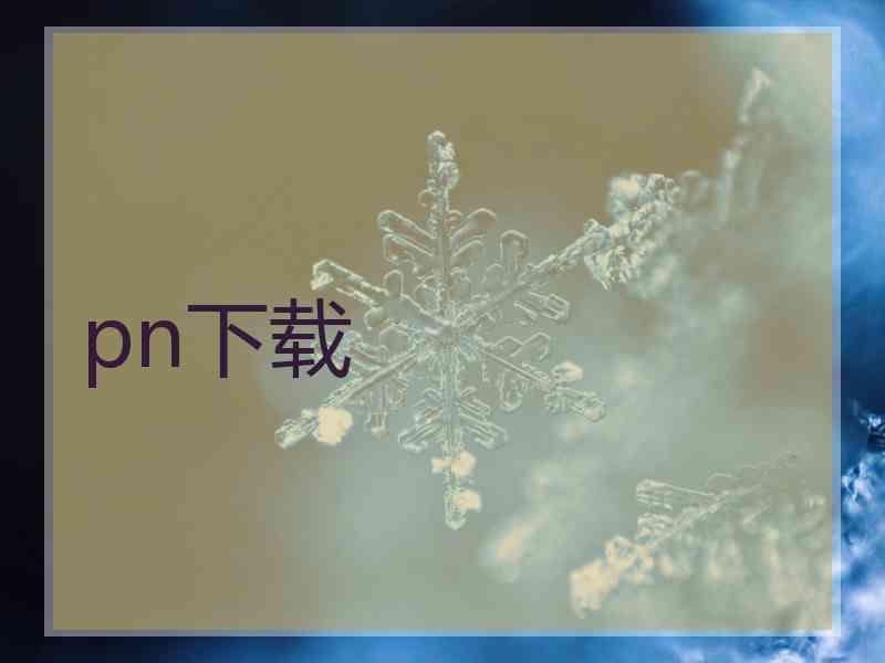 pn下载