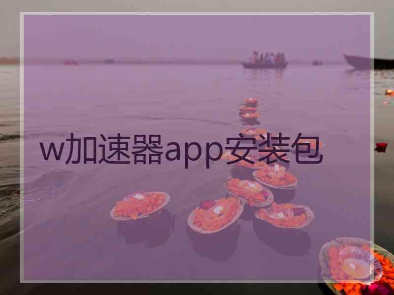 w加速器app安装包
