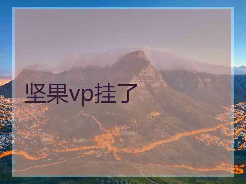 坚果vp挂了