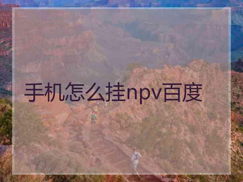 手机怎么挂npv百度