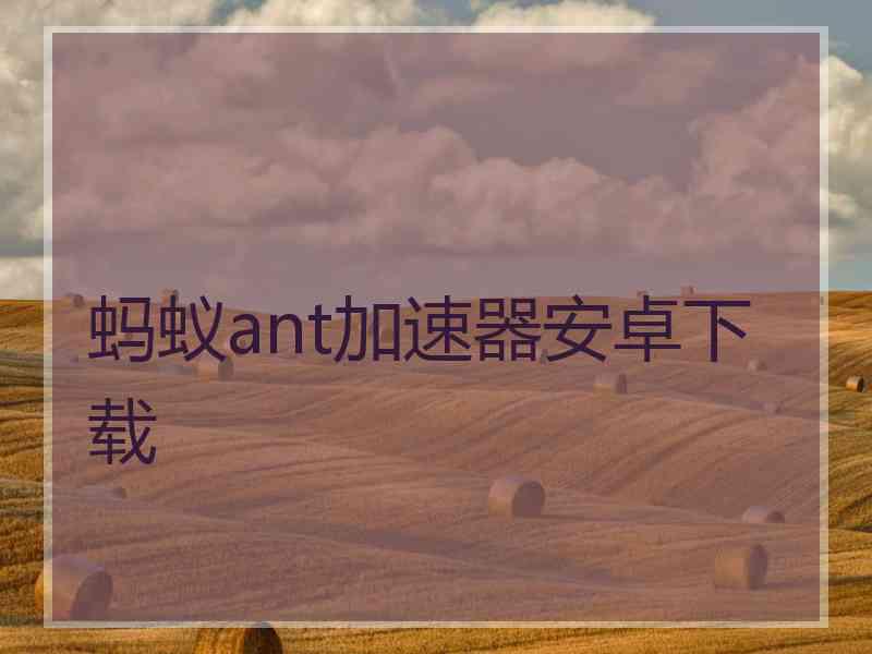 蚂蚁ant加速器安卓下载