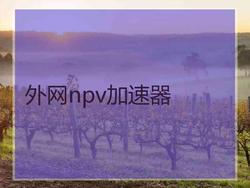 外网npv加速器