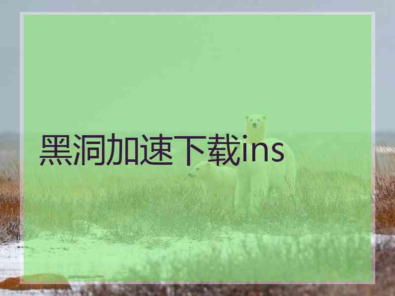 黑洞加速下载ins