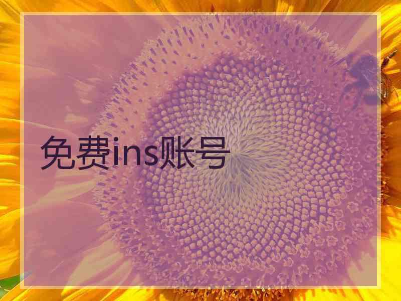 免费ins账号