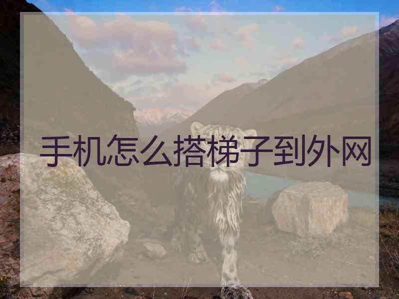 手机怎么搭梯子到外网