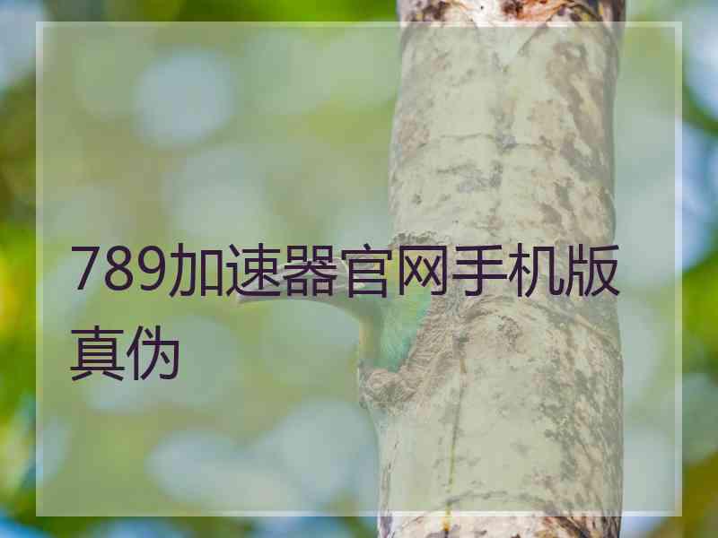 789加速器官网手机版真伪