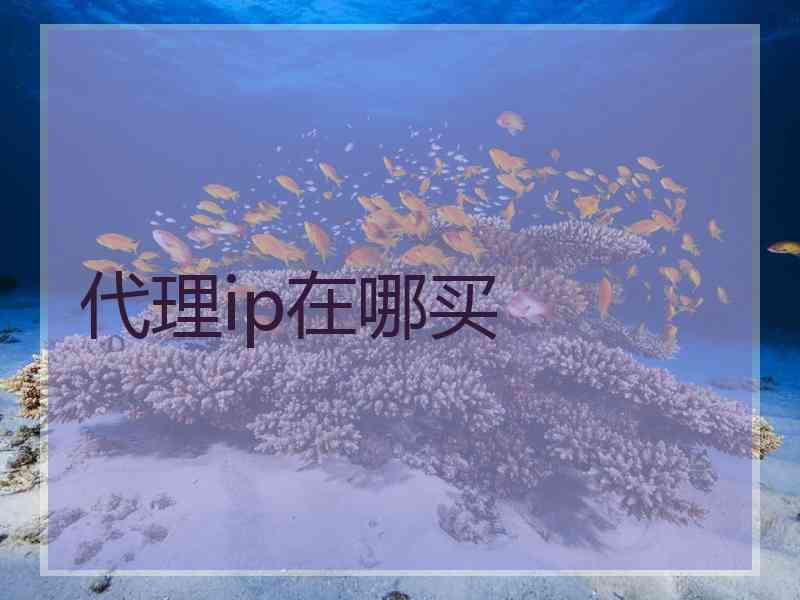 代理ip在哪买