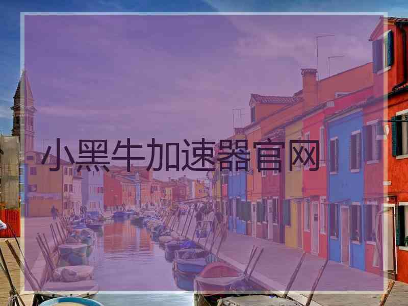 小黑牛加速器官网