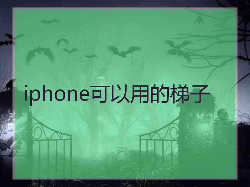 iphone可以用的梯子