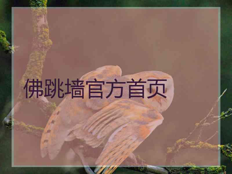 佛跳墙官方首页