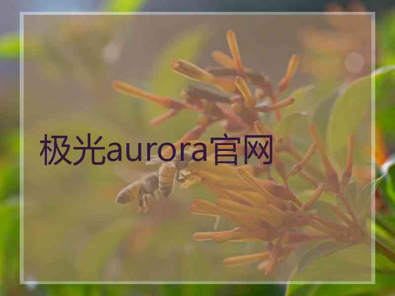 极光aurora官网