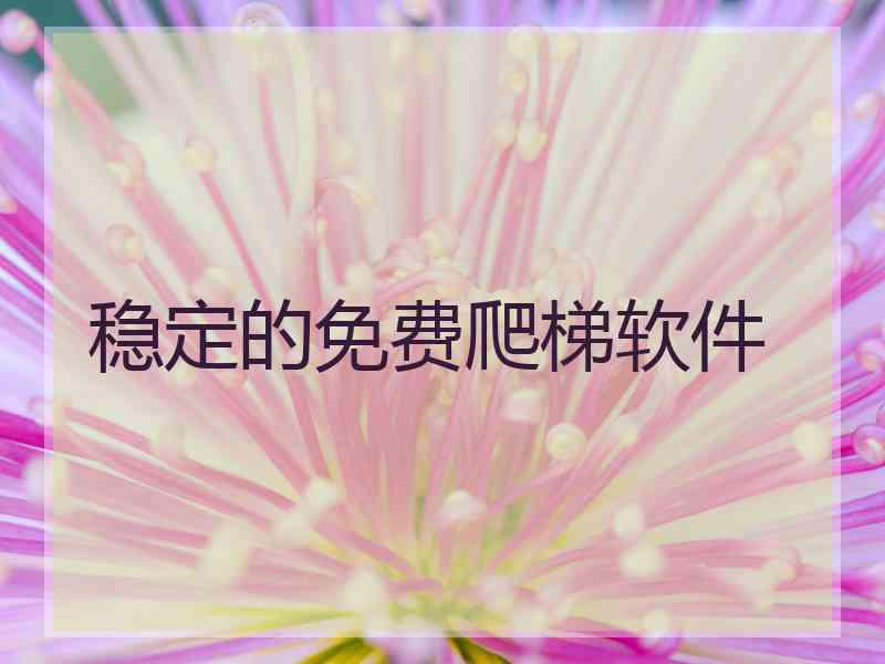 稳定的免费爬梯软件