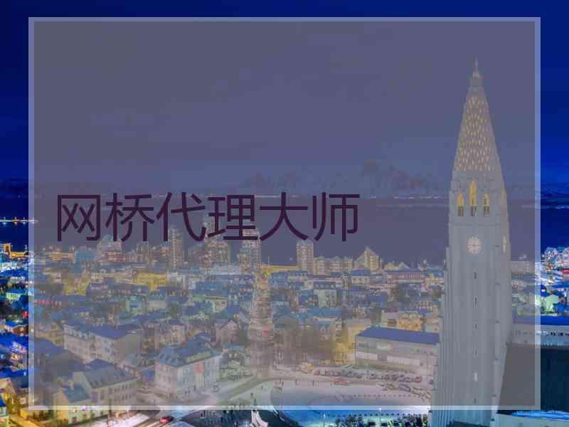 网桥代理大师