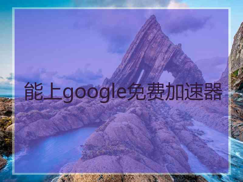 能上google免费加速器