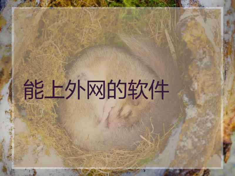 能上外网的软件