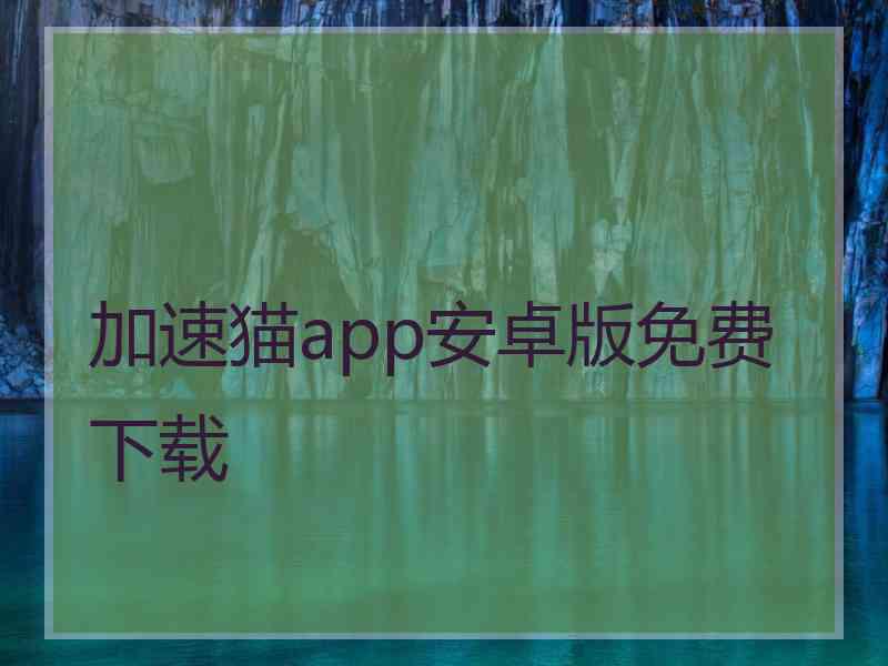加速猫app安卓版免费下载