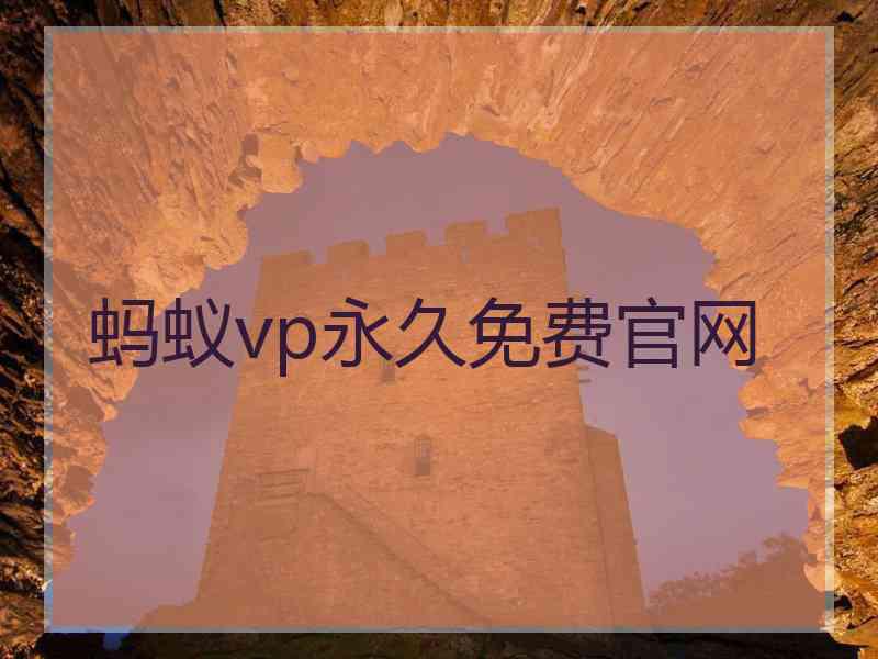 蚂蚁vp永久免费官网