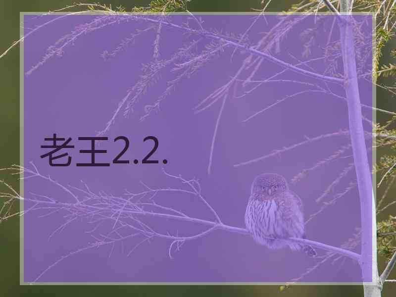 老王2.2.