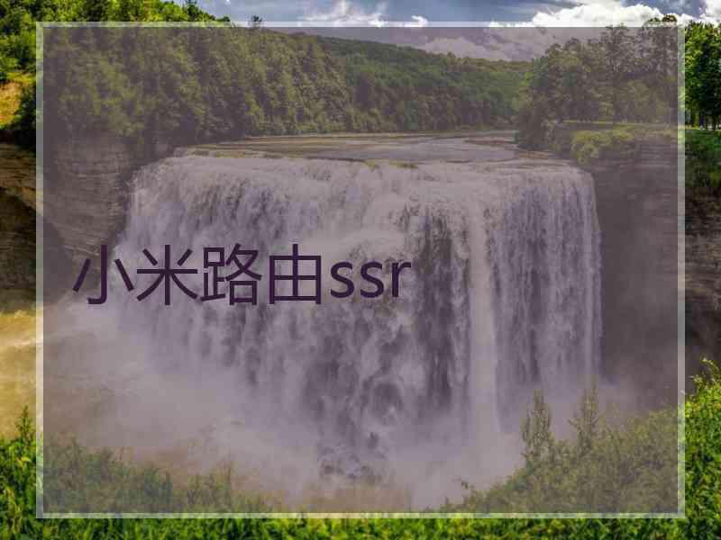 小米路由ssr