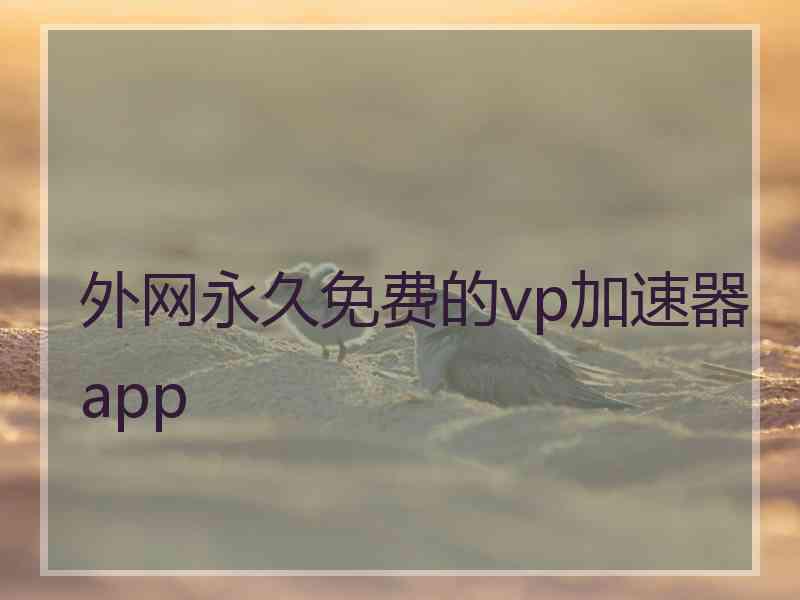 外网永久免费的vp加速器app