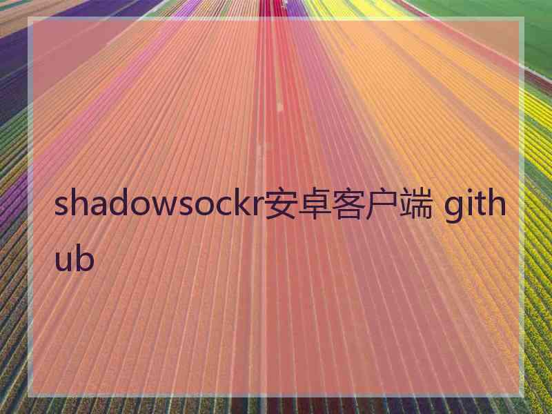 shadowsockr安卓客户端 github