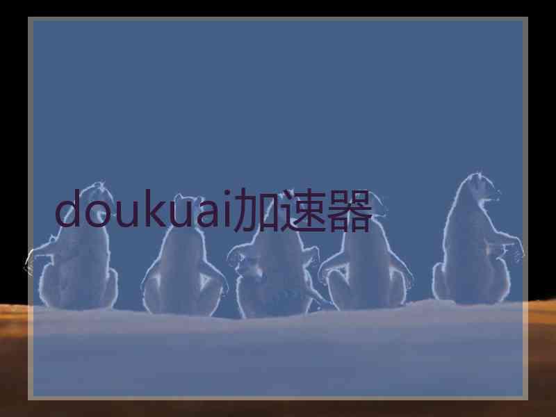 doukuai加速器
