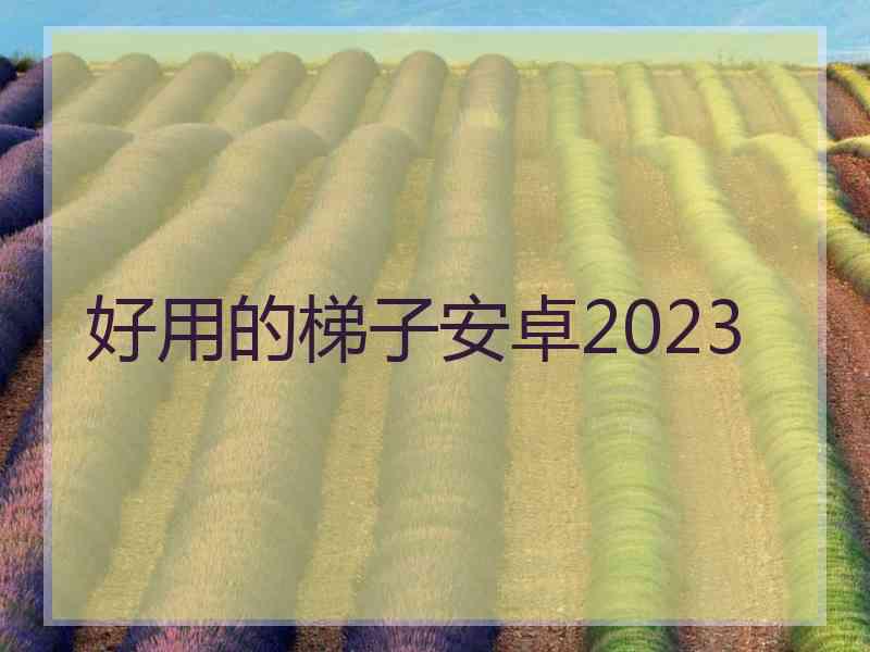 好用的梯子安卓2023