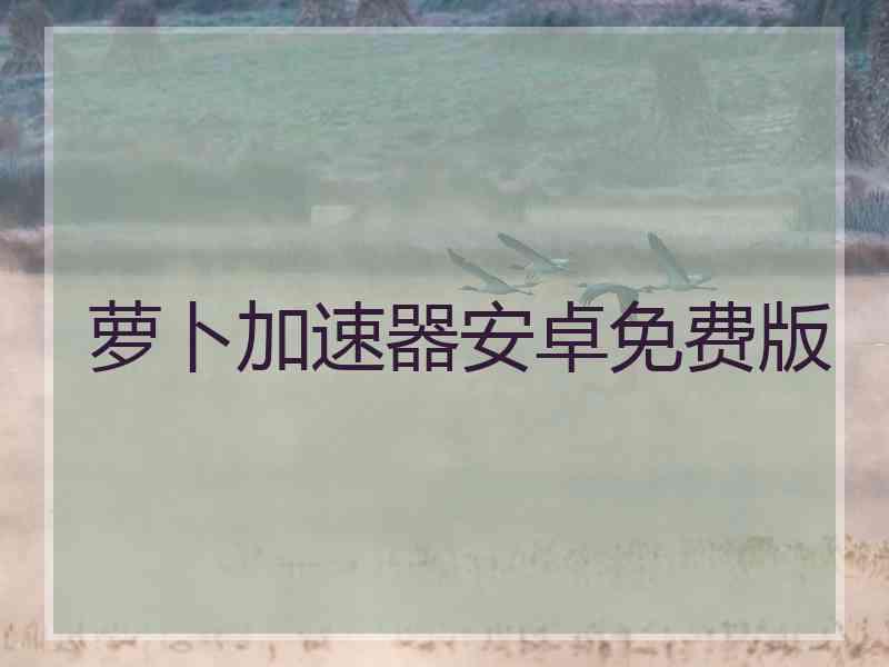 萝卜加速器安卓免费版