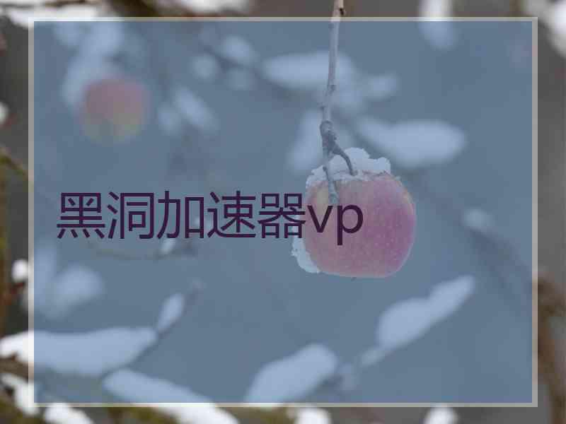黑洞加速器vp