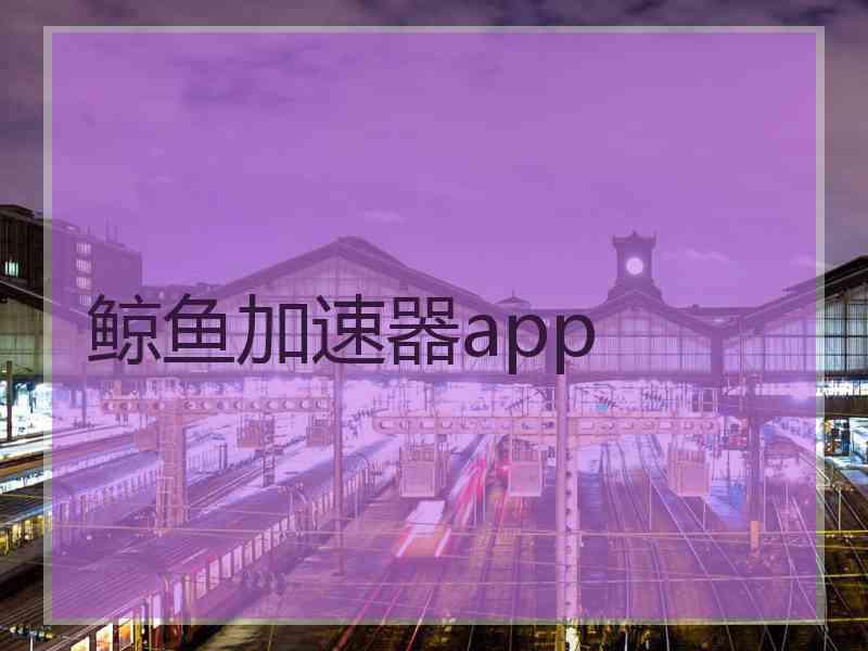 鲸鱼加速器app