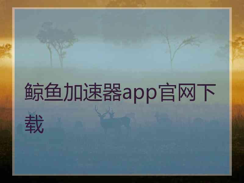 鲸鱼加速器app官网下载