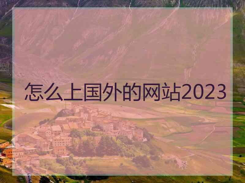 怎么上国外的网站2023