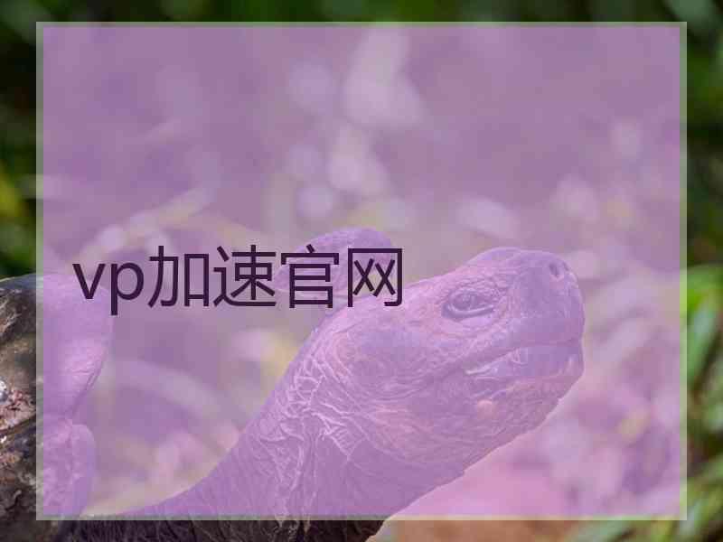 vp加速官网