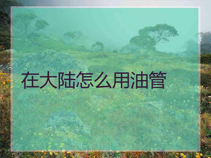 在大陆怎么用油管