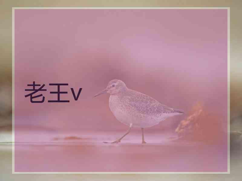 老王v