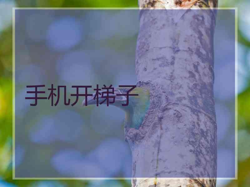 手机开梯子
