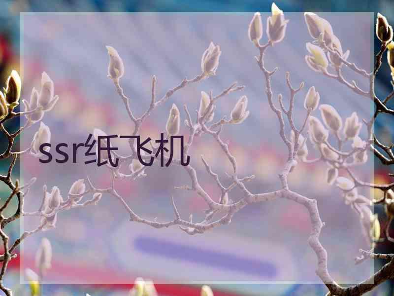 ssr纸飞机