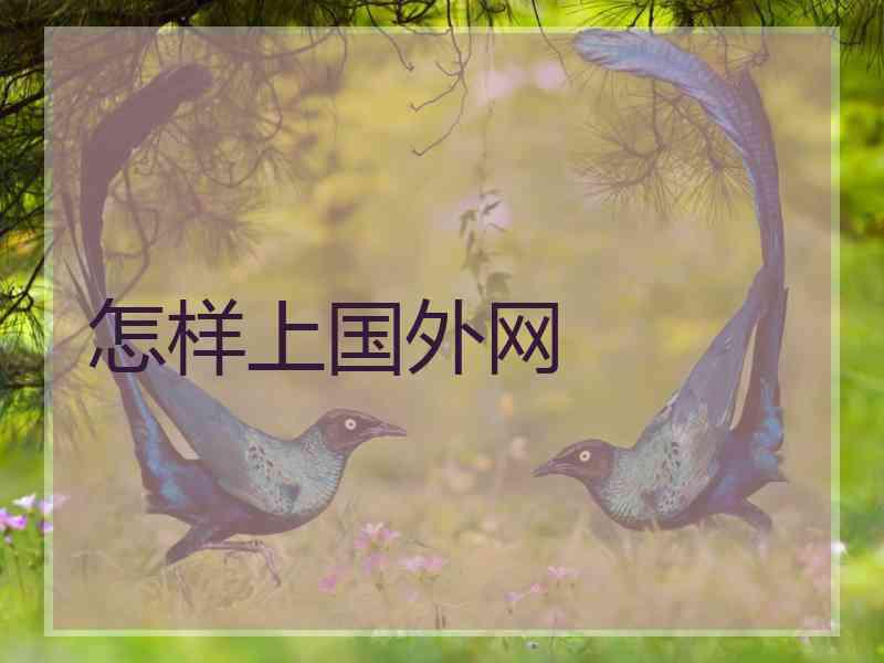 怎样上国外网